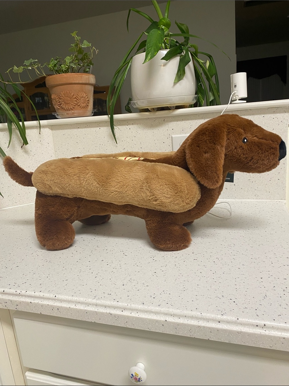 NWT.  Humane World For Animals, dachshund pillow.